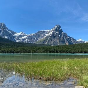 Meet your Posher, Sarah-emily